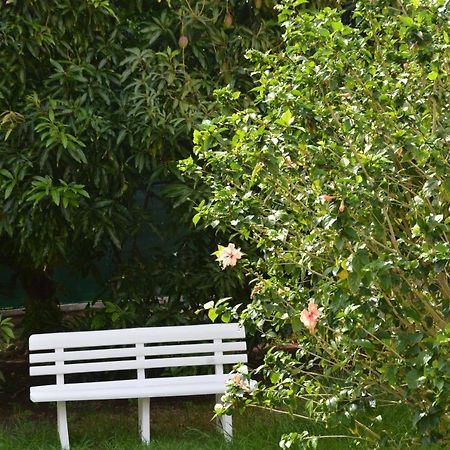 Residence Mon Refuge Grande Anse Екстериор снимка