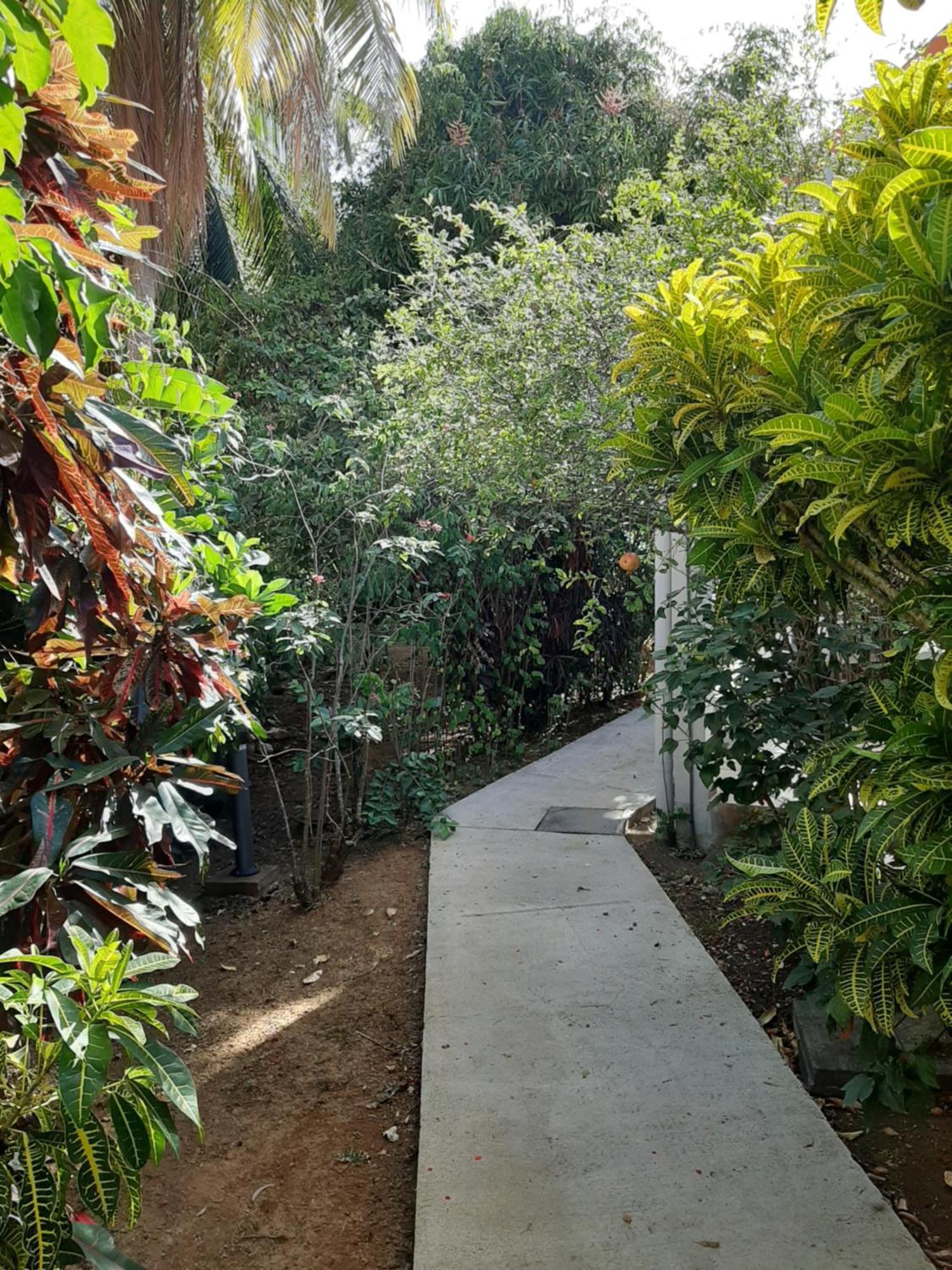 Residence Mon Refuge Grande Anse Екстериор снимка